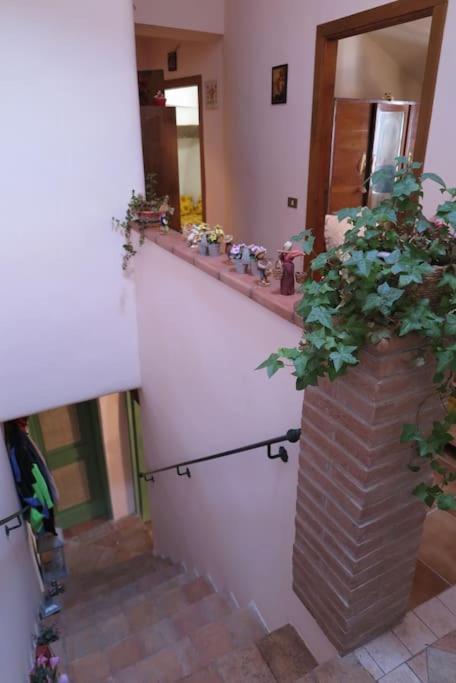 Villa L'Oasi Di Pace Pale Exterior foto